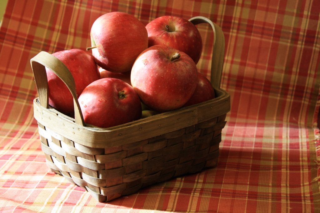 best apple pie ever.jpg